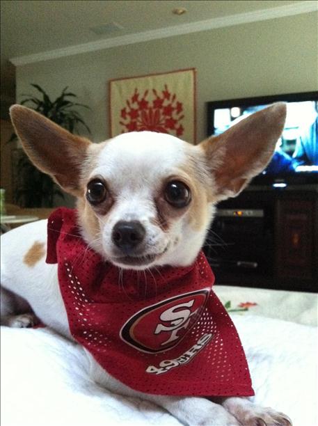 Nina loves the 49'ers